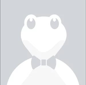 Mr. Turtle avatar